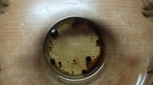 Салат с японским ореховым соусом