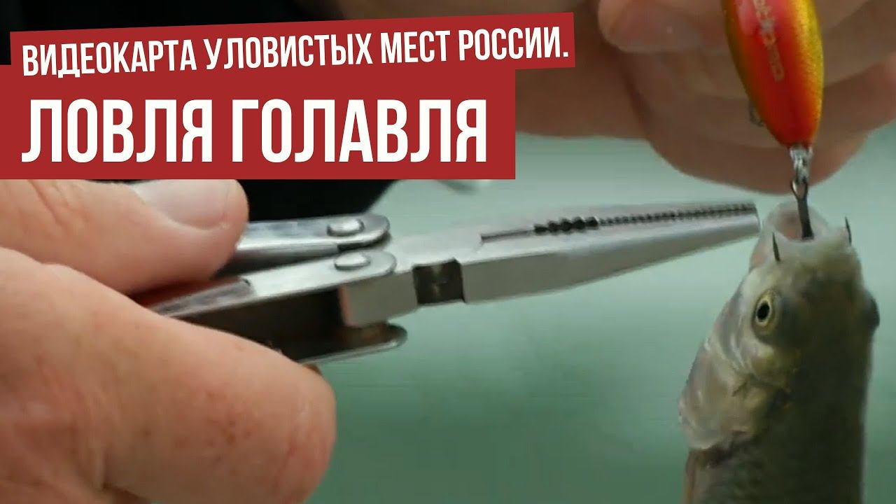 Ловля голавля \ Видеокарта уловистых мест России. Сезон 9