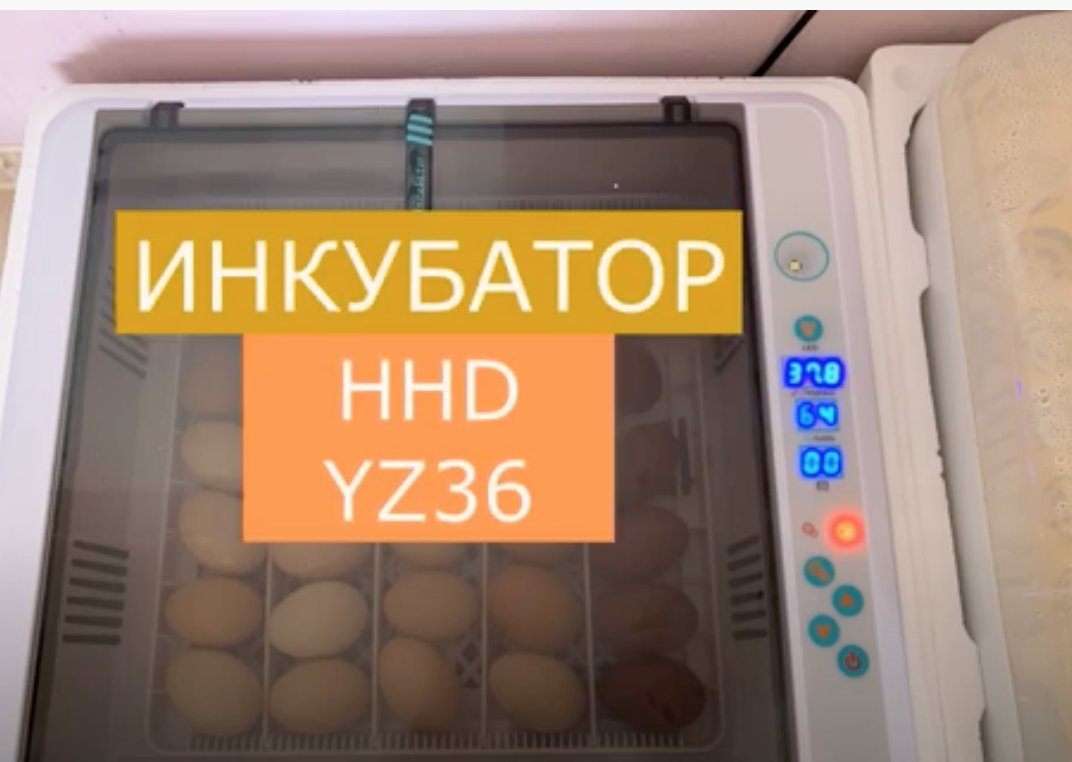 Инкубатор hdd. Китайский инкубатор. Инкубатор обзор. Китайский инкубатор на 36 яиц инструкция. Инкубация в Китае.