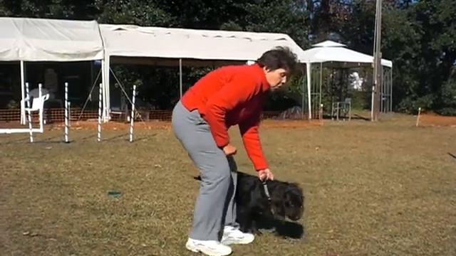 Target Plate.MOV