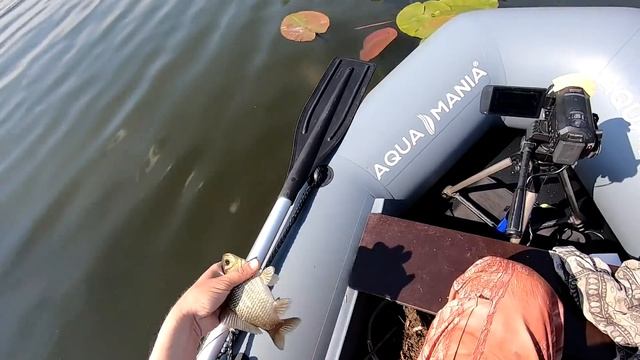 Ловля карася с лодки. Открытие сезона Май, 2020. Рыбалка на поплавок. смотреть онлайн