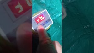 Мини УЗВ для Африканского сома В домашних условиях