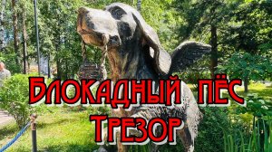 Блокадный пёс Трезор.