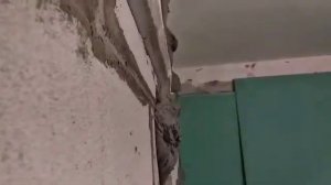 Выравнивание поклейка стен ГКЛ Кнауф