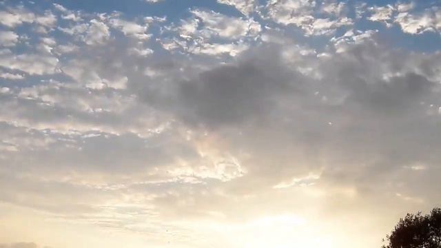 Девочка весна Сергей Куренков смотреть онлайн