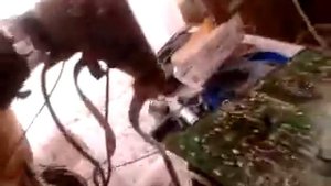 Полосы на экране ТВ Что делать