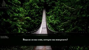 Коран Сура Аль Вакиа чтец Хатим Фарид