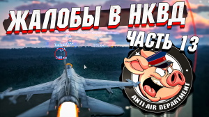 Жалобы в НКВД War Thunder - Часть 13