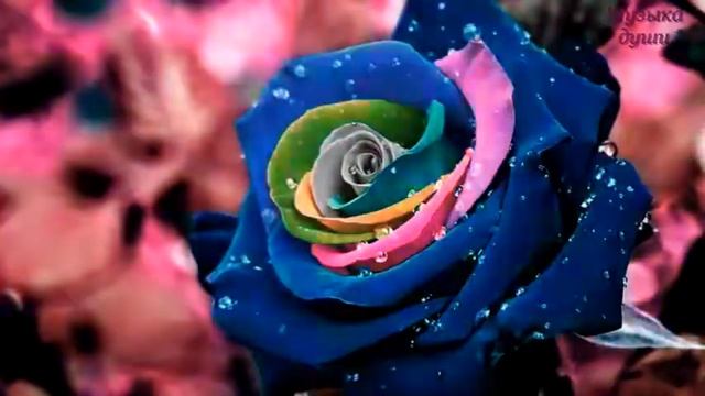 63 Красивой женщине-красивые цветы ... смотреть онлайн