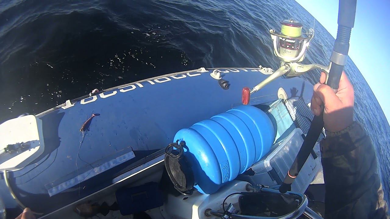 ТРЕСКА, ЗАКРЫТИЕ СЕЗОНА 2021! БЕЛОЕ МОРЕ! смотреть онлайн