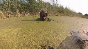 Ныряем в болоте