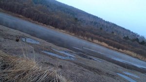 Осенняя охота с подсадными утками