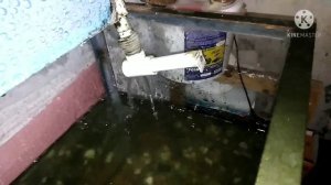 Запуск аквариума 200 литров