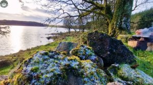 Delicious CHICKEN BACON sandwich with CRISPY potato pancake ( RELAX, NATURE SOUNDS, ASMR, 4K)