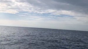 Ловля тунца в Испании. Поймали 100 кг тунца! Морская рыбалка на Коста Дорада
