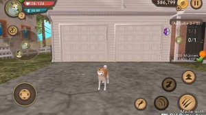 How to Hack Dog sim with Game Guardian (LVL and coins)