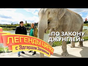 Легенды цирка с Эдгардом Запашным — «По закону джунглей»