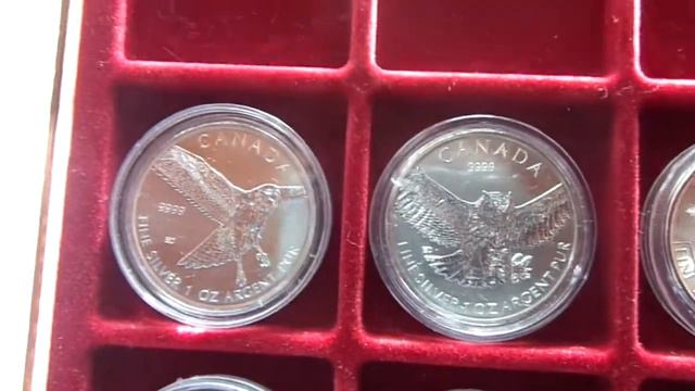 Серебряная монета Белоголовый орлан. Канада 2014. смотреть онлайн