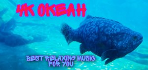 4K Удивительный Подводный Мир #океан #музыка #релакс #рыбы #аквариум #4к.mkv