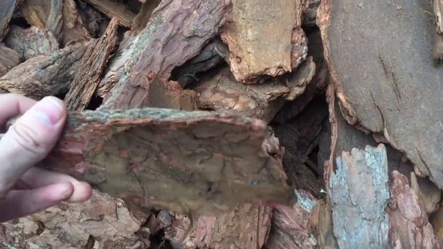 Мульча из крупной Коры Лиственницы (более 10 см)
