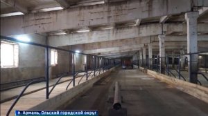 Говядина мраморная, свинина дешевая – ноу-хау колымских фермеров