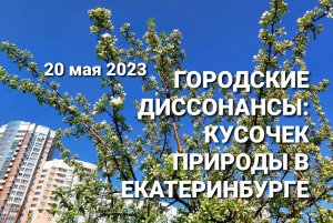 Екатеринбург: парк в микрорайоне Ботаника     20 мая 2023