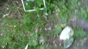 Как легко закидывать донку для новичков.