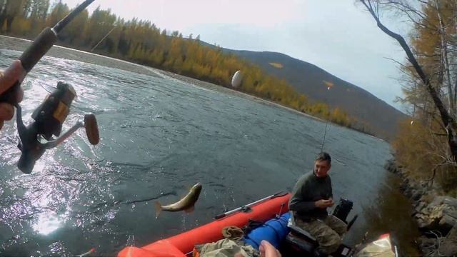 Рыбалка на хариуса на горной реке в сентябре часть 2. Pesca en el río de montaña 2 смотреть онлайн