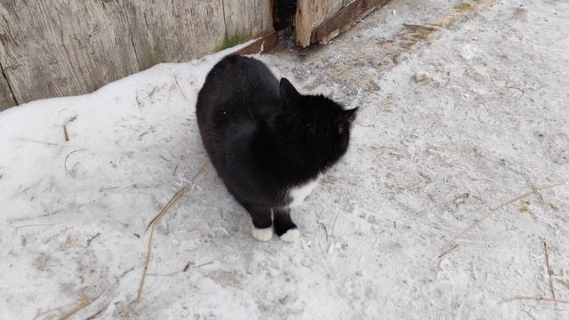 Усадьба Гальских в Череповце