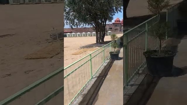 зона отдыха Комфорт Капчагай смотреть онлайн