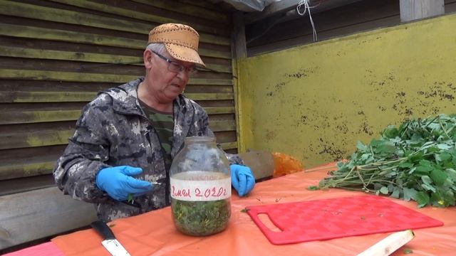 ЗАГОТОВКА ЧИСТОТЕЛА