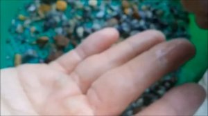 Новые находки: ископаемая кость, кусочек окаменелого дерева...