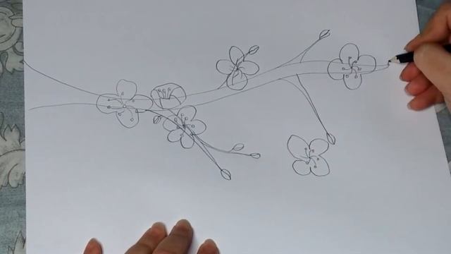 Сакура Как нарисовать ветку сакурыSakura Sakura branch