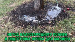 Метод влагозарядного полива