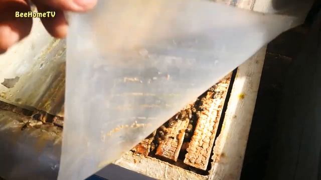 3-я зимовка в моих "СУПЕР УЛИКАХ" смотреть онлайн