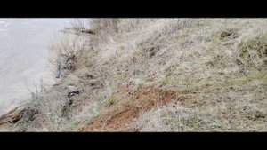 Альфастайл