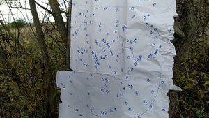 МР-155 отстрел Progress-0.5 с 5ки, 3ки Главпатрон На Охоту 32г на 35м