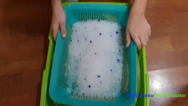 Кошачий лоток. Как ухаживать за котенком.