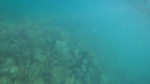 С удочкой ПО пляжам ОАЭ Фуджейра. FUJAIRAH  HOTEL RADISSON BLU RESORT 5  #рыбалка, #IceHouse