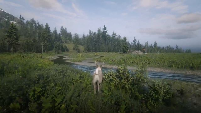 Animal transformation in Depth: Vitalism studies Guide in red dead online (Buck) смотреть онлайн