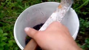 Самодельный комбайн для сбора ягод