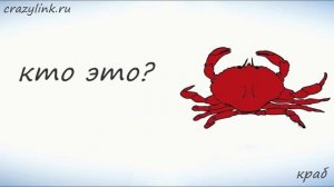 Морские животные на английском