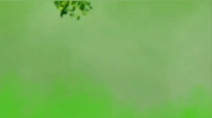 Беззубик и дневная фурия часть 1 (remake)