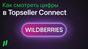 Как смотреть цифры в Topseller Connect по Wildberries