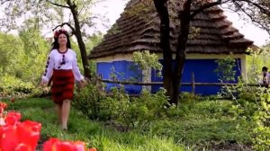 " Щось у горлі деренчить " Українська козацька пісня.Автор і виконавець Володимир Ярцев.