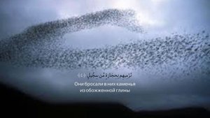 Сура Аль-Филь _ Красивое чтение корана + Русский Аудио Перевод