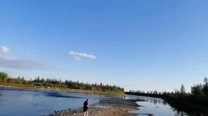 Лабытнанги, ст Обская река Ханмей. Июль 2020.