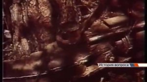 История. Усть-Илимск. Хроника 70-80-х гг.