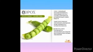 Как заморозить зелёный горошек Что приготовить из зелёного горошка Зелёный горошек польза