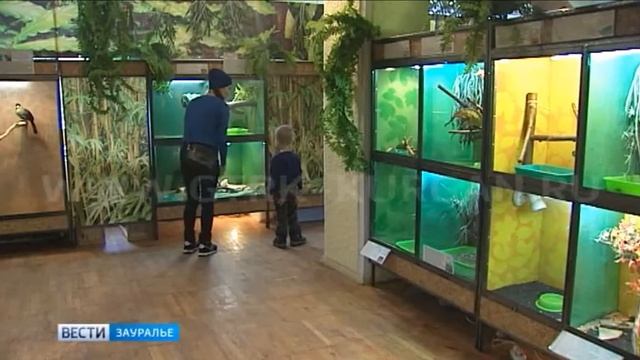 В Кургане работает контактный зоопарк